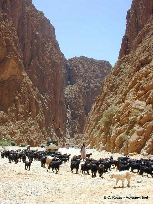 Todgha Gorge (Todgha) a Tinghir - Marruecos