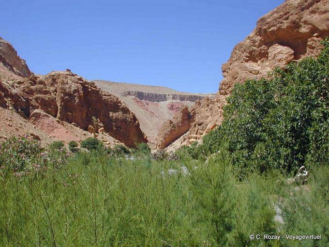 El verde y la aridez del Valle de las Rosas - Marruecos