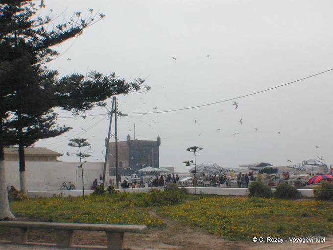 La vista ciudadela genovesa de un jardín, Essaouira - Marruecos