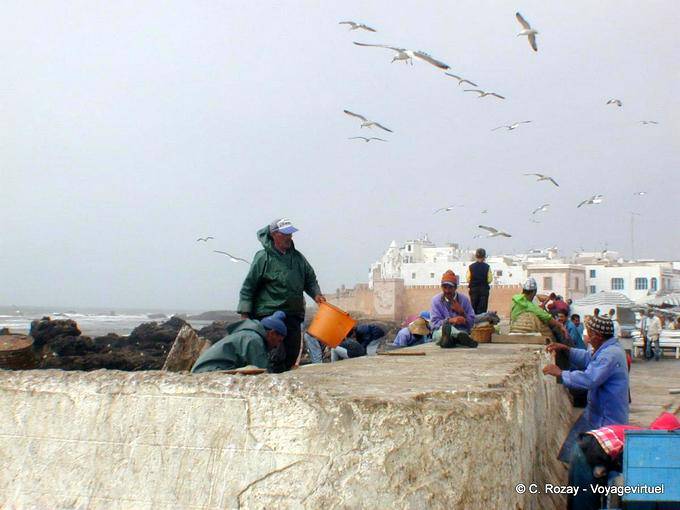 Essaouira, marineros trabajando en el puerto - Marruecos