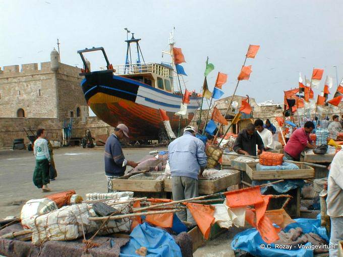 Preparación de muelles de pesca y paseos en barco, Essaouira - Marruecos