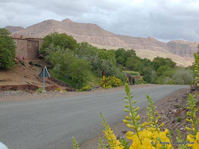 Paisaje verde entre Marrakech y Ouarzazate - Marruecos