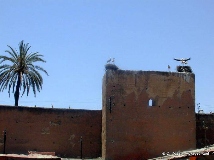 Cigüeñas anidados en las murallas, Marrakech - Marruecos