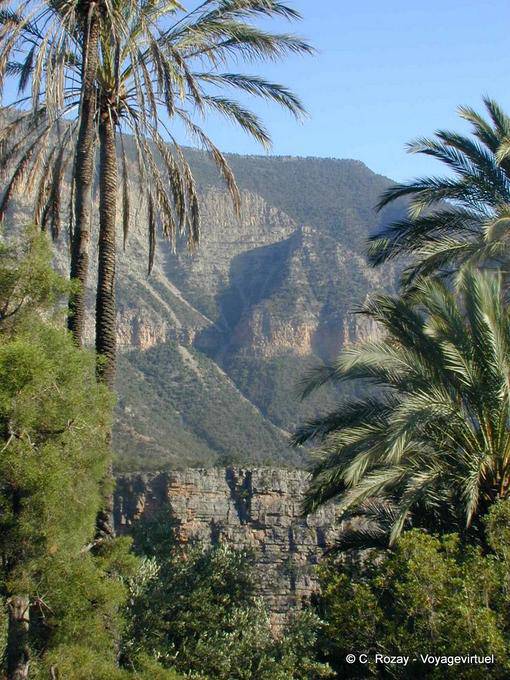Paradise Valley, palmeras y paisaje - Marruecos