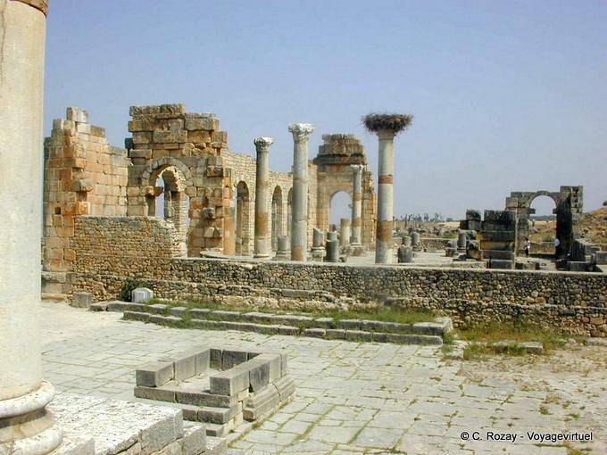 Panorama en el Capitolio, Volubilis - Marruecos
