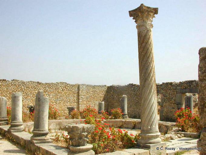 Columnas de Volubilis, Casa - Marruecos