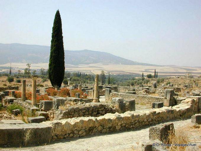 Paisaje, Volubilis - Marruecos