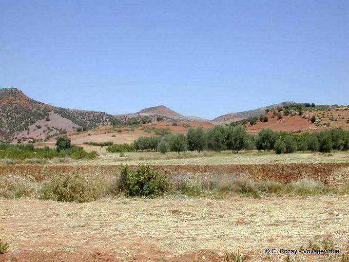 Combine y el paisaje en la región de Ain Leuh - Marruecos