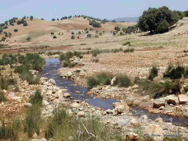 En la meseta de Ajdir y Tiguelmamines, Khenifra - Marruecos