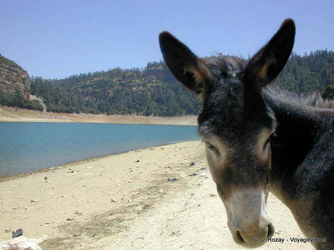 Culo lago verde Aguelmame Azegza, Khenifra - Marruecos