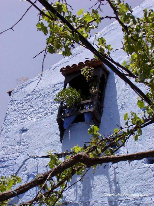 Vides y ventana de celosía, Chefchaouen - Marruecos
