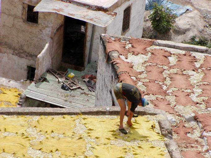El secado de la piel al sol en las terrazas de Chouara, Fez - Marruecos