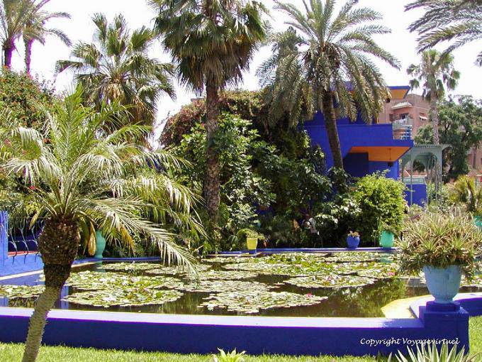 Pond Cuenca lirio, Jardin Majorelle, Marrakech - Marruecos