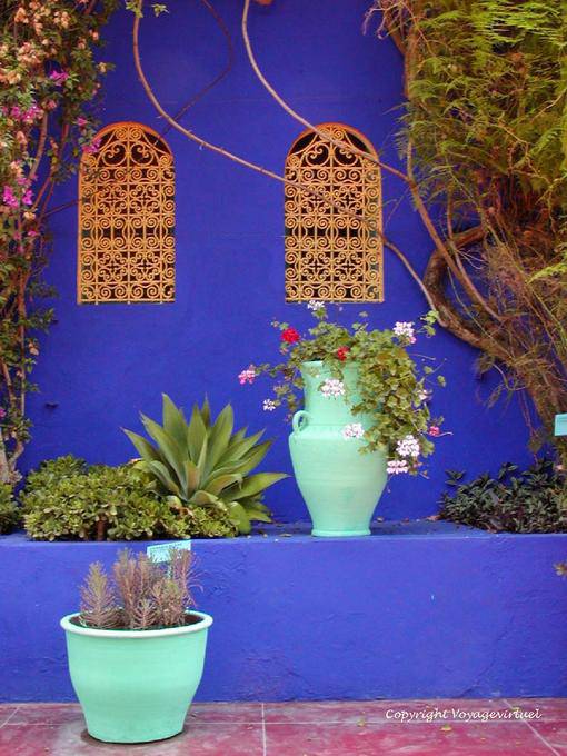El contraste de color, Jardin Majorelle, Marrakech - Marruecos