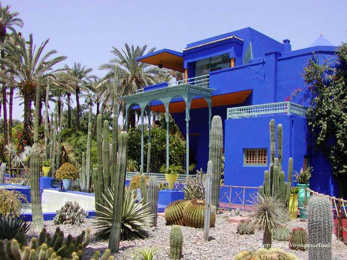 Cactus familia al museo bereber, Jardin Majorelle, Marrakech - Marruecos