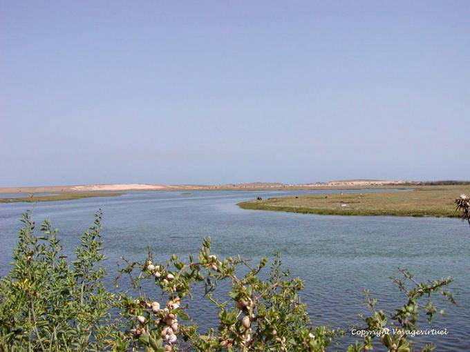 Caracoles, laguna y las dunas en el paisaje distancia Oualidia - Marruecos