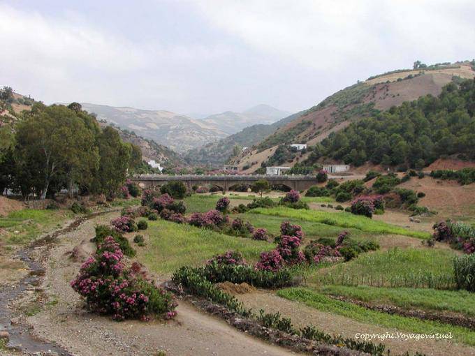 Puente de Amsa, unidad de Tetuán - Marruecos