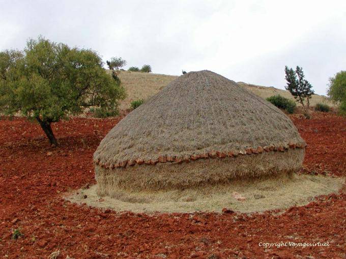 La hermosa rueda redonda sobre la tierra roja, el Parque Nacional de Talassemtane, Rif - Marruecos