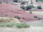 Los colores de la cultura y la tierra alrededor Khénifra, Marruecos.