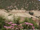 Flores de la, región del Atlas Medio Khenifra, Marruecos.
