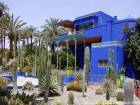 Cactus familia al museo bereber, Jardin Majorelle, Marrakech, Marruecos.