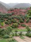 Cultura en el valle y casas en la colina, Valle de Ourika, Marruecos.