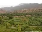 Cultivos y pueblo Taljerft encima del wadi, Ourika, Marruecos.