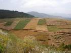 Los campos de trigo y kif, Rif, Marruecos.
