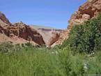 El verde y la aridez del Valle de las Rosas, Marruecos.