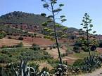 Azigza, Tierra roja y verde alrededor Khenifra, Marruecos.