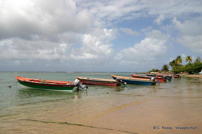 Alineación de los barcos de pesca en la playa, Anse l'Etang, La Caravelle - Martinica