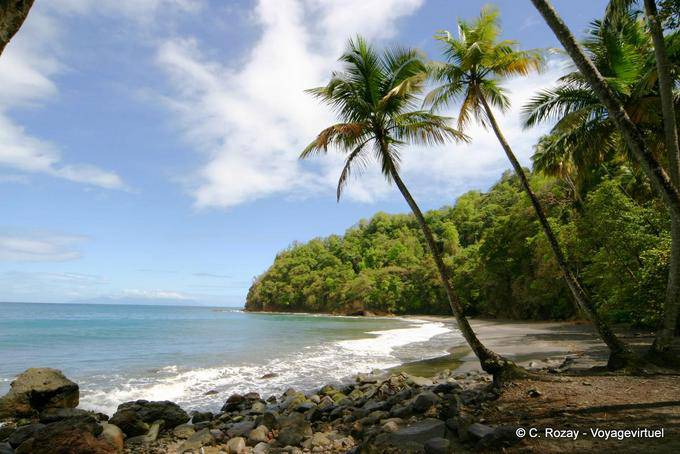 A la sombra de una naturaleza exuberante Anse Couleuvre - Martinica