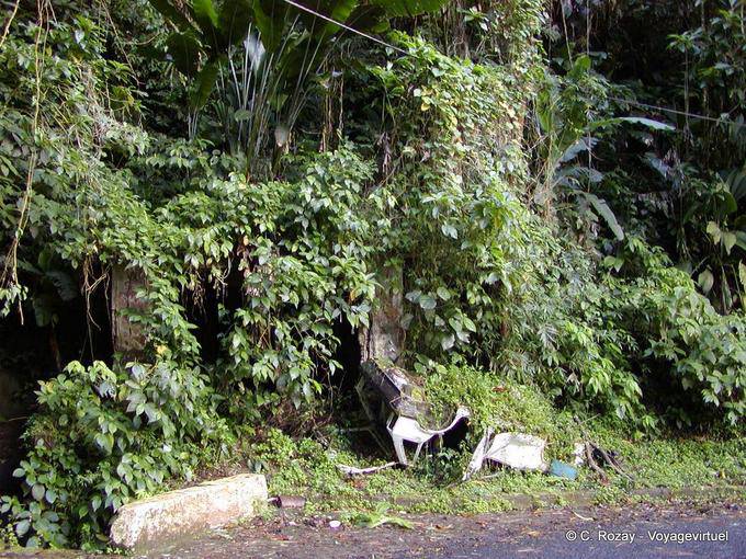 Cementerio verde, coche enterrado bajo la vegetación - Martinica