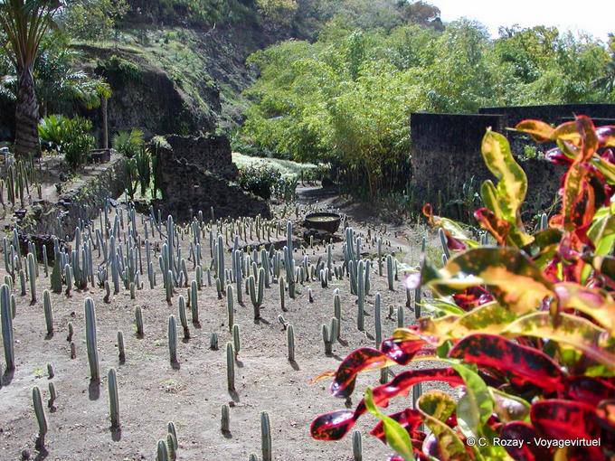 Habitation Anse Latouche, las ruinas de la plantación destruida por la erupción del Monte Pelée - Martinica
