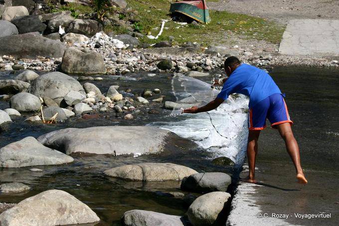 La pesca en el halcón en Potiche río, Grand'Rivière - Martinica