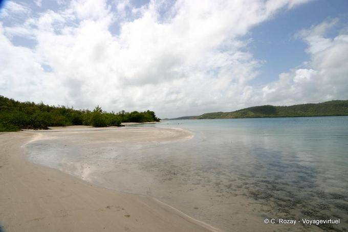 Playa de la bahía de Hacienda y el agua clara, península de La Caravelle - Martinica