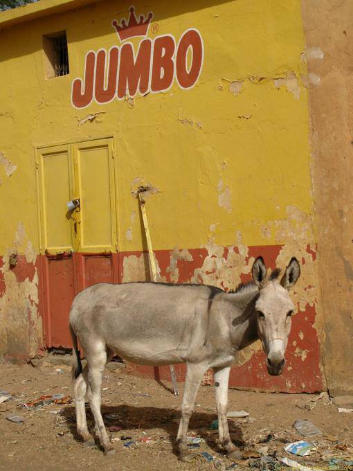 Boghé el burro a la pared pintada, Jumbo, Mauritania