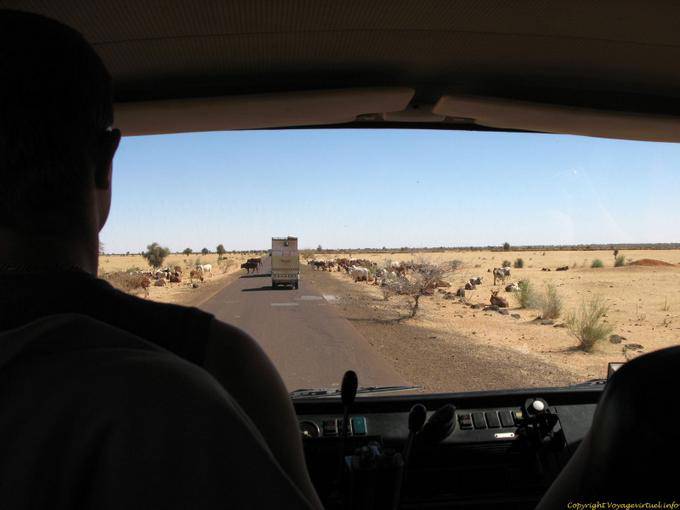 Camino entre Boghé y Kaedi, Mauritania