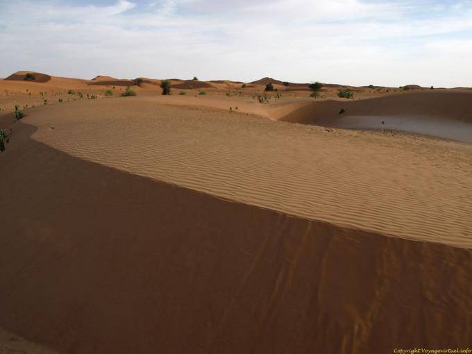 Dune Friselis planas, Hope Road, Mauritania