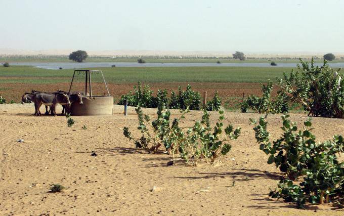 Bueno y los resultados de riego, Hope Road, Mauritania