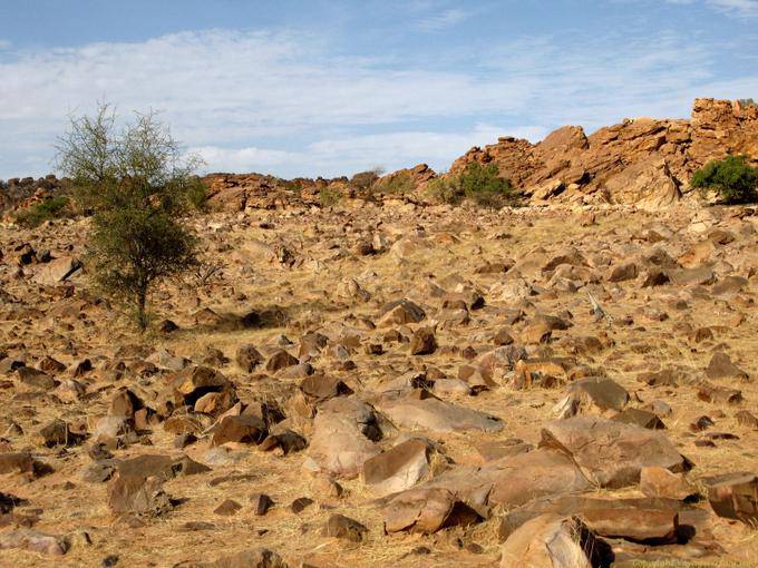 Souffa, implacable, Mauritania