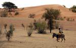El pastor en su culo, Assaba Región, Mauritania.