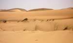 Vasto desierto entre Nouakchott y la frontera con Marruecos, Mauritania.