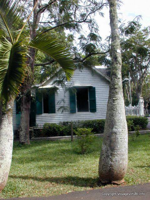 Tronco de un árbol de palma, La Bourdonnais Avenue, Pamplemousses, Mauricio.