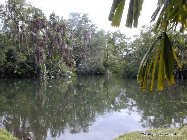 Gran piscina y exuberantes islas, Jardín Pamplemousses, Mauricio.
