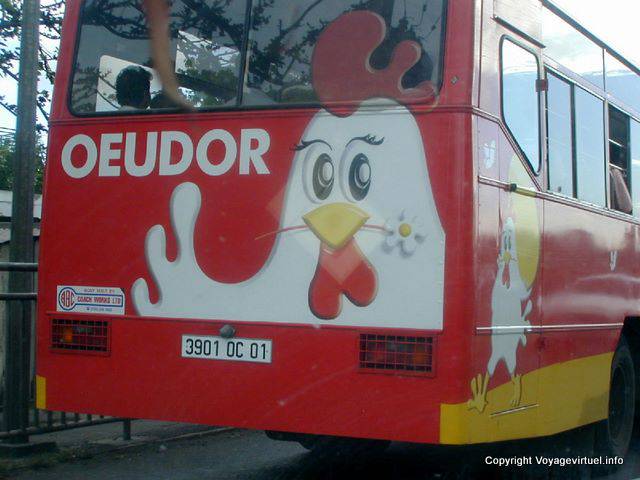 Oeudor, la publicidad en la parte trasera de un autobús, Mauricio.