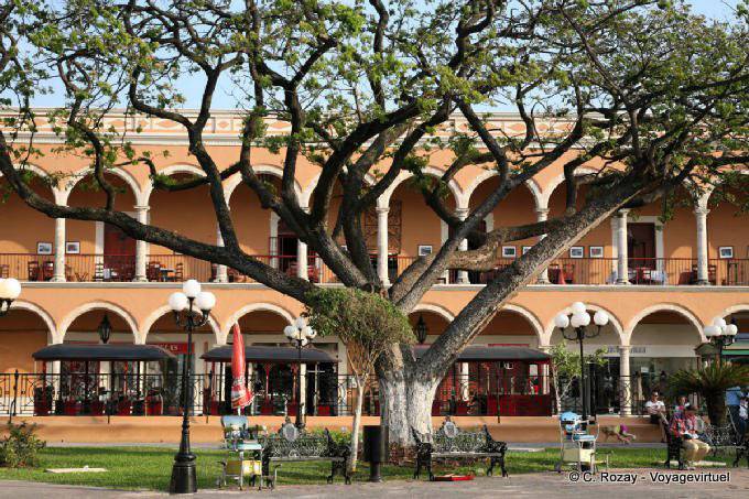 Árbol delante de los arcos de la Plaza de la Independencia, Campeche - Mexico