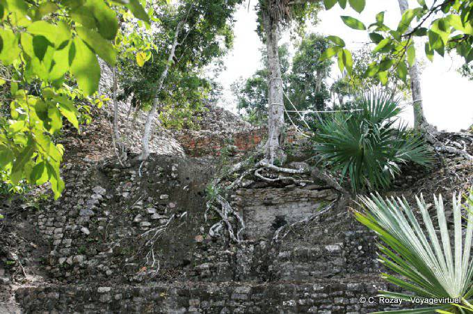 Vegetación invasiva en la iglesia, Grupo B Coba - Mexico