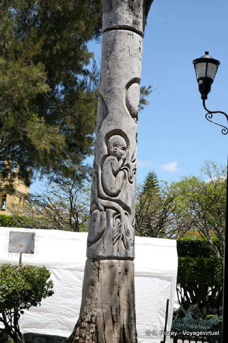 Escultura en el tronco de un árbol, Zócalo, Comitán de Domínguez - Mexico