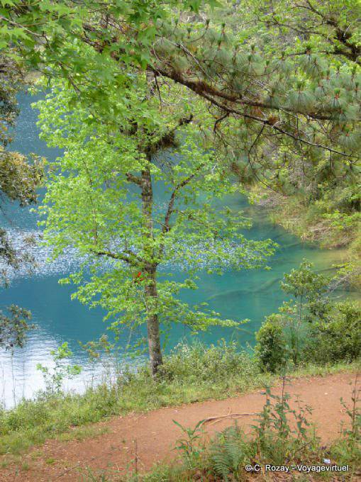 Armonía de colores, Laguna Azul, Lagunas de Montebello - Mexico